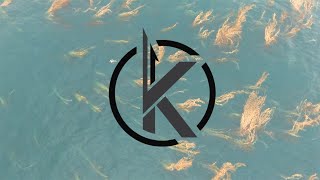 Kinetic Spearfishing - White Seabass