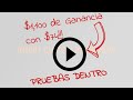 Curso de Youtube Ads | $1,100 euros de ganancia!!