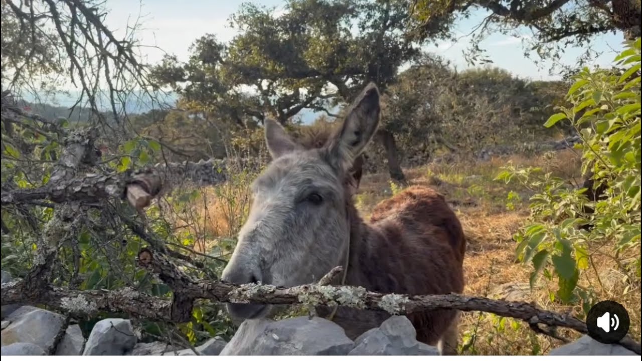 El video que nos da nostalgia !