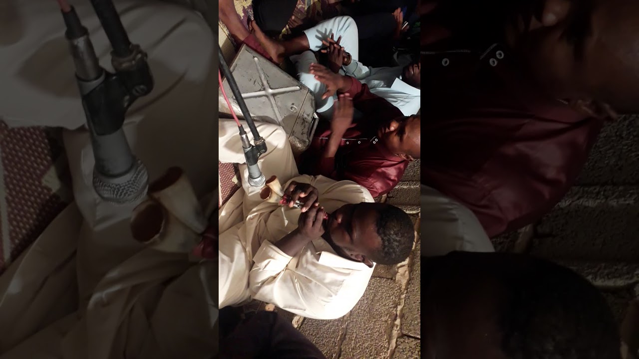 منصوره الشاطي افراح الزوايد