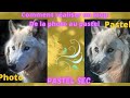 Tutoriel comment raliser un loup au pastel sec  museau et truffe