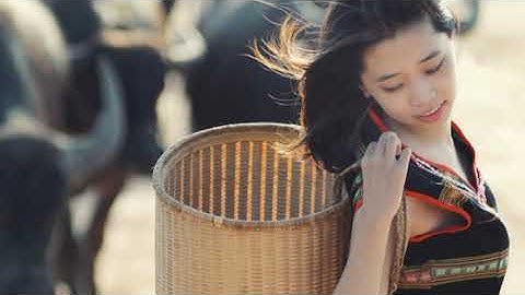 Background music   Tinh quân dân   vinacot com