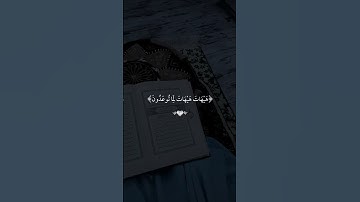 تلاوه خاشعه ياسر الدوسري #قران #ياسر_الدوسري   #quran #قران_كريم #تلاوة_خاشعة #alaa_mustafa_1
