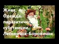 Жива. Одежда, паразитические субстанции.Лесовичок-Боровичок