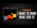 Foreigner I Want To Know What Love Is Lyrics