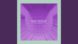 SOK NEKAT