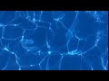 HD Swimming Pool Water Blue 1080p Loopable Background Stock Footage HD Swimming Pool Water Blue 1080p Loopable Background Stock Footage