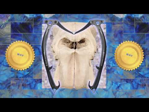 DJ Paypal - Over
