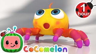 Itsy Bitsy Spider | CoComelon Animal Time - Learning with Animals | Nursery Rhymes for Kids