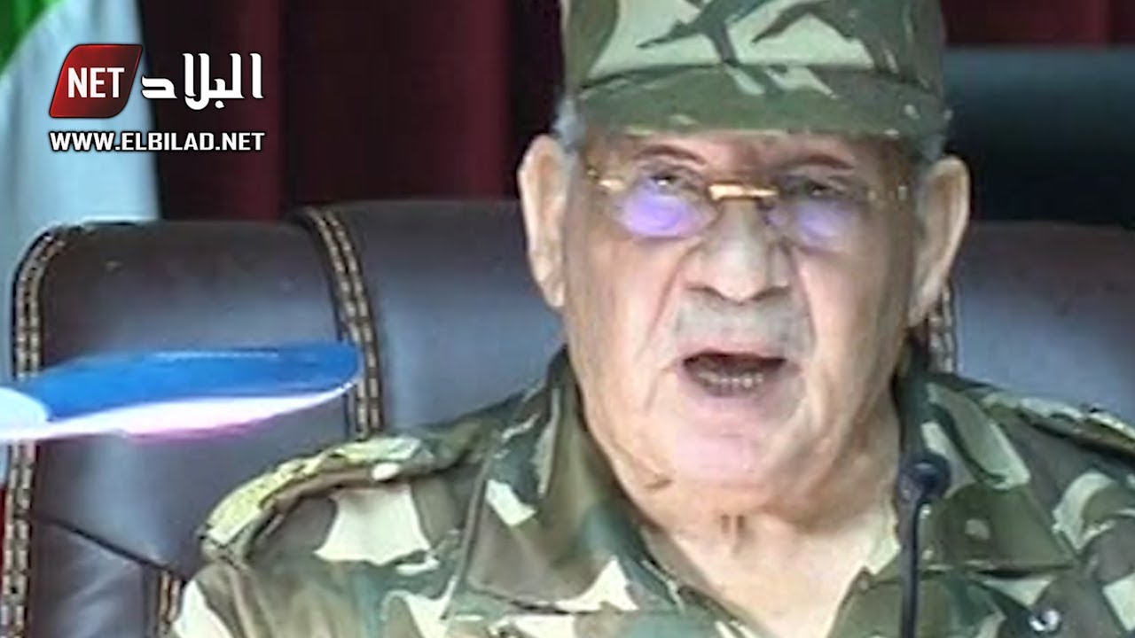 الجزائر نيجيريا قايد صالح: تنظيم انتخابات رئاسية شفافة في أقرب الآجال