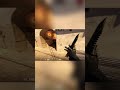 Got Flicks #cs2 #csgo #gaming #shortsfeed #shorts #shortsvideo #shortsviral #counterstrike2