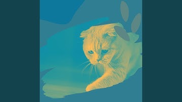 Pulsating Ambience for Cats and Babies