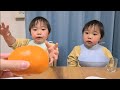 せとか🍊が届きました！眠たくても美味しいものには目がない双子【2歳7ヶ月】