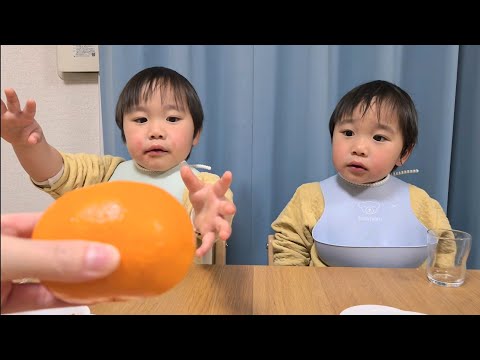twin boys - 双子男子 - YouTube
