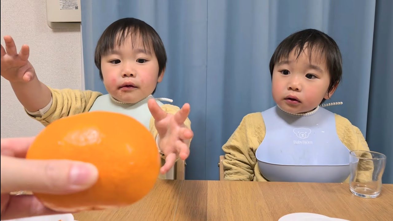 てんちゃん　　　せとか 期間限定！20セット限定】峰ちゃん農園「せとか」(ご家庭用増量セット