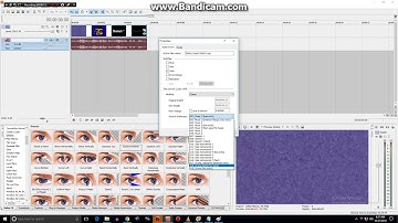 How to Make "X Is Going Weirdness Every" on Sony Vegas