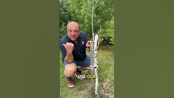 Save your trees with the fence that fights back!