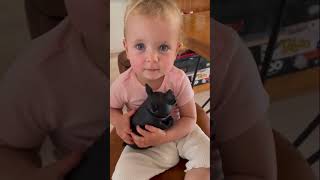 This video will make your christmas day better #shorts #baby