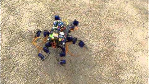 HexapodWithRemoteUpdate140925a