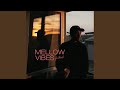Mellow Vibes mp3