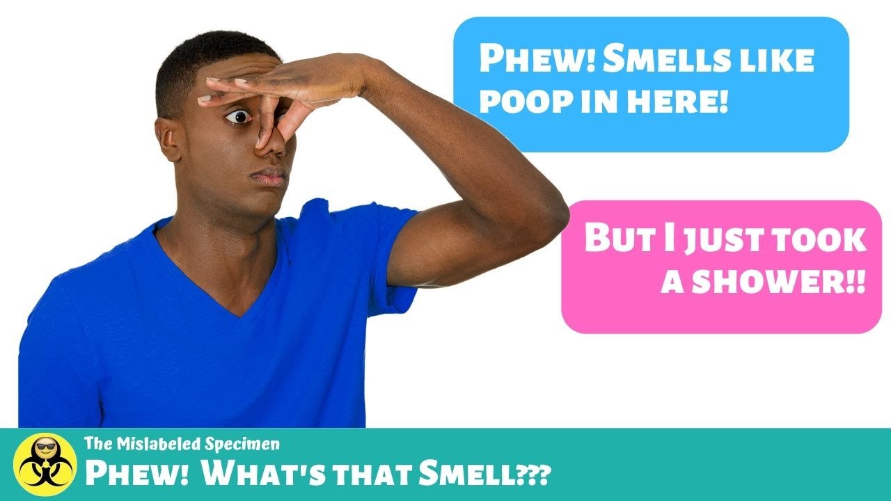 Phew! What’s That Smell??? | Funny Lab Stories