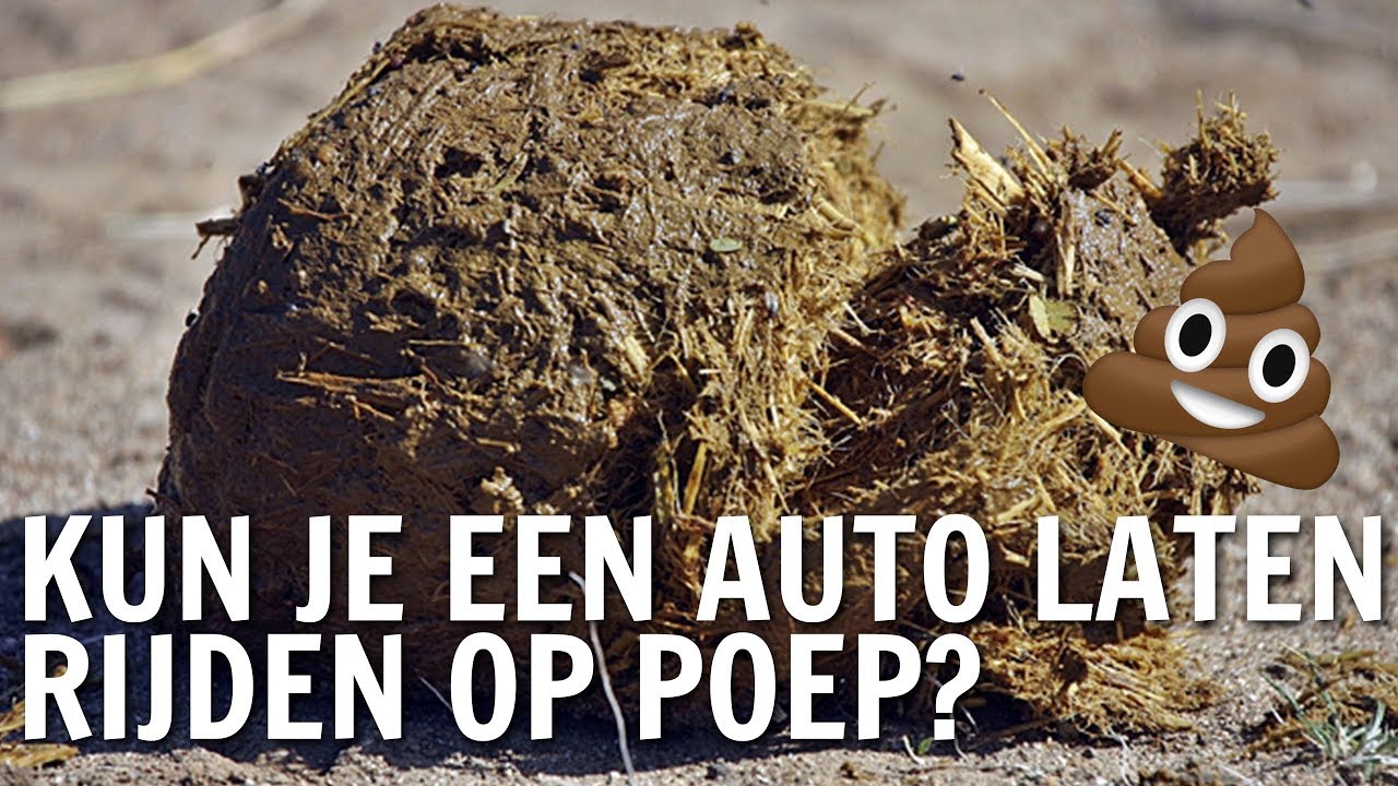 Kun je een auto laten rijden op poep? | De Buitendienst over afval nieuws uit de natuur wind
