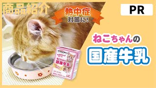 【PR商品紹介】