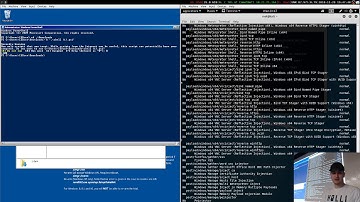 Windows Exploitation