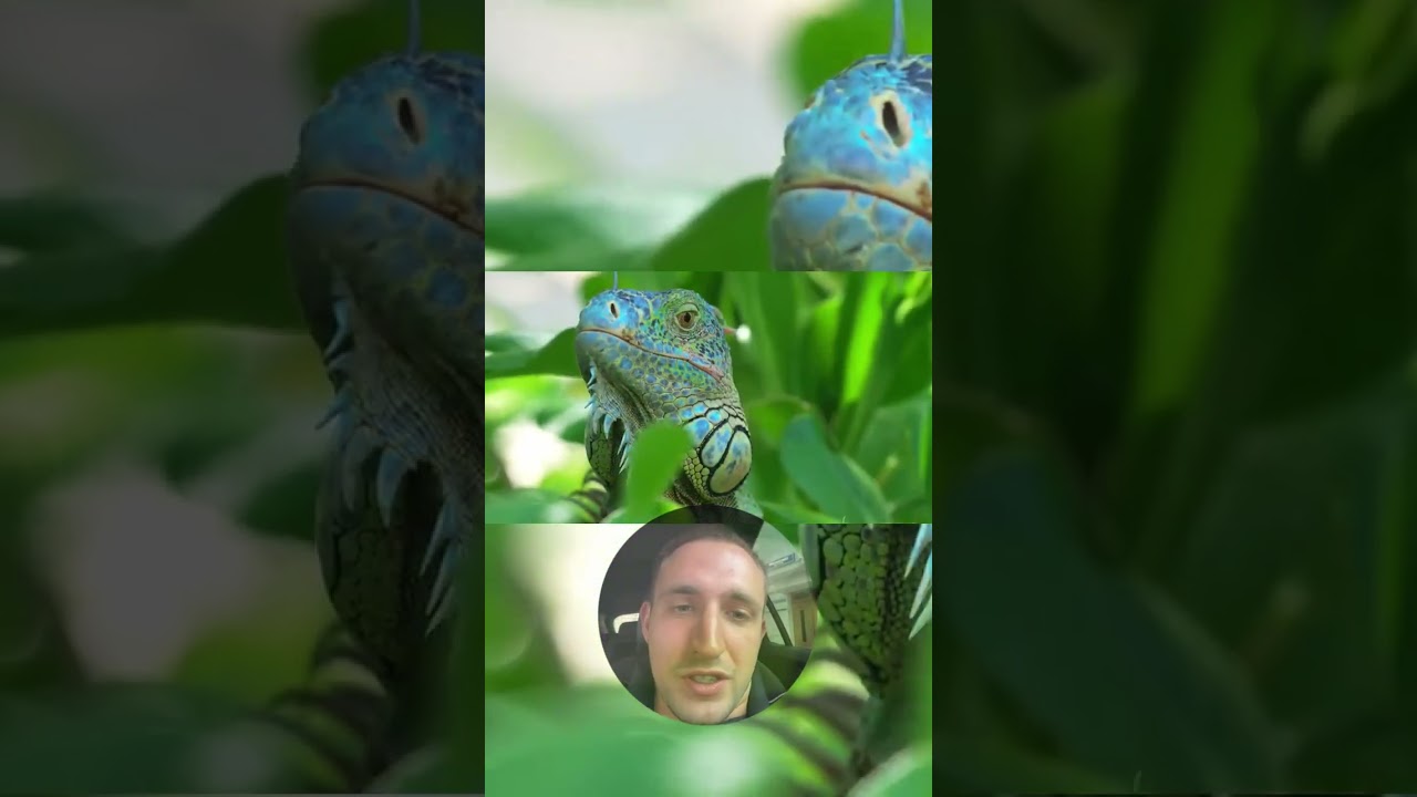 Смотри, как рождается коллаб! 