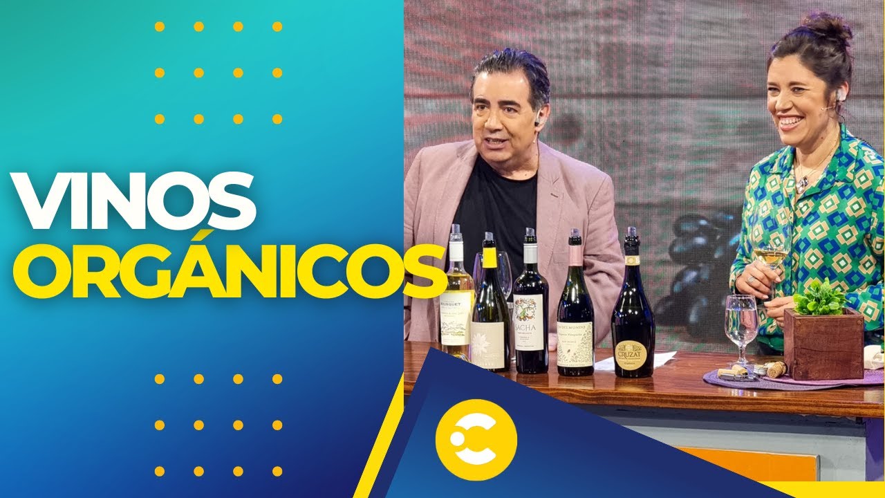¿Qué son los #vinosorganicos 🍇?