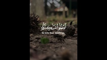 سورة النمل || القارئ ريان المحيسني