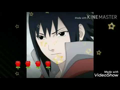 اغنيه بارد واموت بدمك انت البارد على صور ساسكي روعة