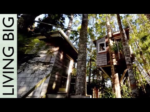 Incredible DIY Tiny Tree House Tour