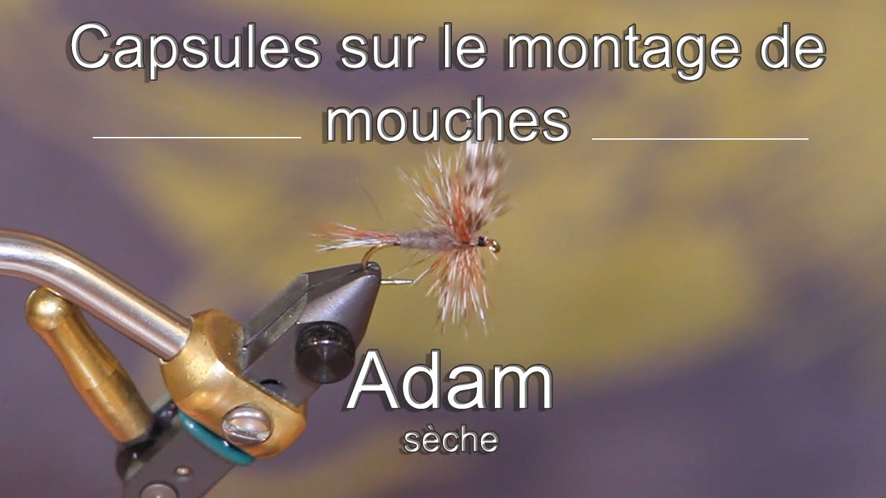 18- Adam sèche HD