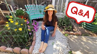 Garden Happy Q&A's  You asked I answered!