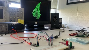 Barnsley Fern calculation/visualization with Raspberry Pi Pico (RP2040)