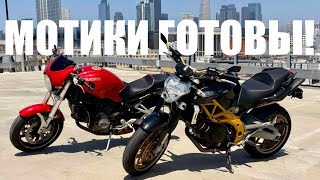 :  : Ducati Monster  Aprilia Shiver   !