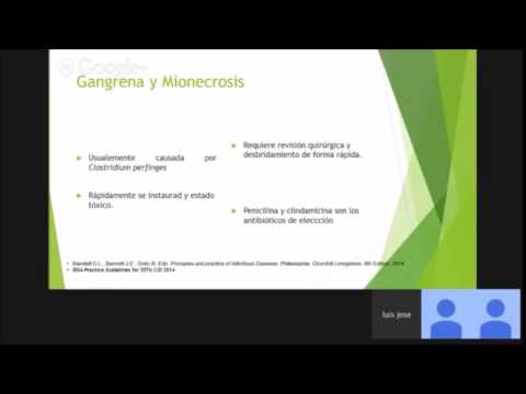 Vídeo: El Tiempo Es Esencial Para Tratar Las Infecciones Necrotizantes De Tejidos Blandos: Una Revisión Sistemática Y Un Metanálisis