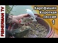 Карпфишинг (Короткая сессия 1)