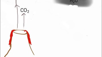 The Evolution of The Atmosphere