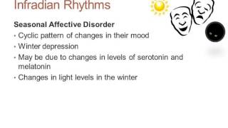 Biopsychology: Biological Rhythms - examples