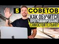 Как обучиться программированию самостоятельно и бесплатно? (5 советов)