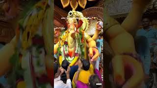 pov: l am not ready to say Goodbye 😭🙏 #youtubeshorts #shorts #subscribe #vairalshort #visrajan #
