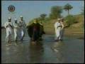 السودان النوبة أغنية نوبية من منطقة المحس Nubian S Song 