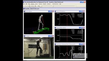 Eye Tracking and Stair Climbing Analysis
