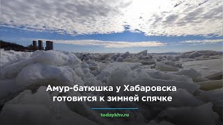 Амур-батюшка у Хабаровска готовится к зимней спячке