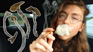 First Time Trying Shr00Ms Blunt Hotbox Storytime