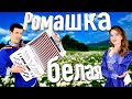 ❤️БОЖЕ! КАКИЕ КРАСИВЫЕ ГОЛОСА! Ромашка белая.