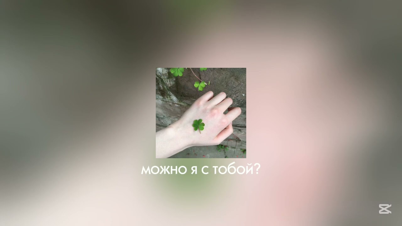 (🌿)— а можно я с тобой?