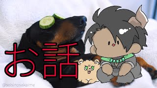 【雑談】Eng sub　安眠すやすやトーク3/9【荒咬オウガ/ホロスターズ】